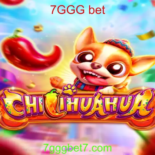 CHILIHUAHUA: Descubra o Novo Jogo de Cartas com a Palavra-Chave 7GGG bet